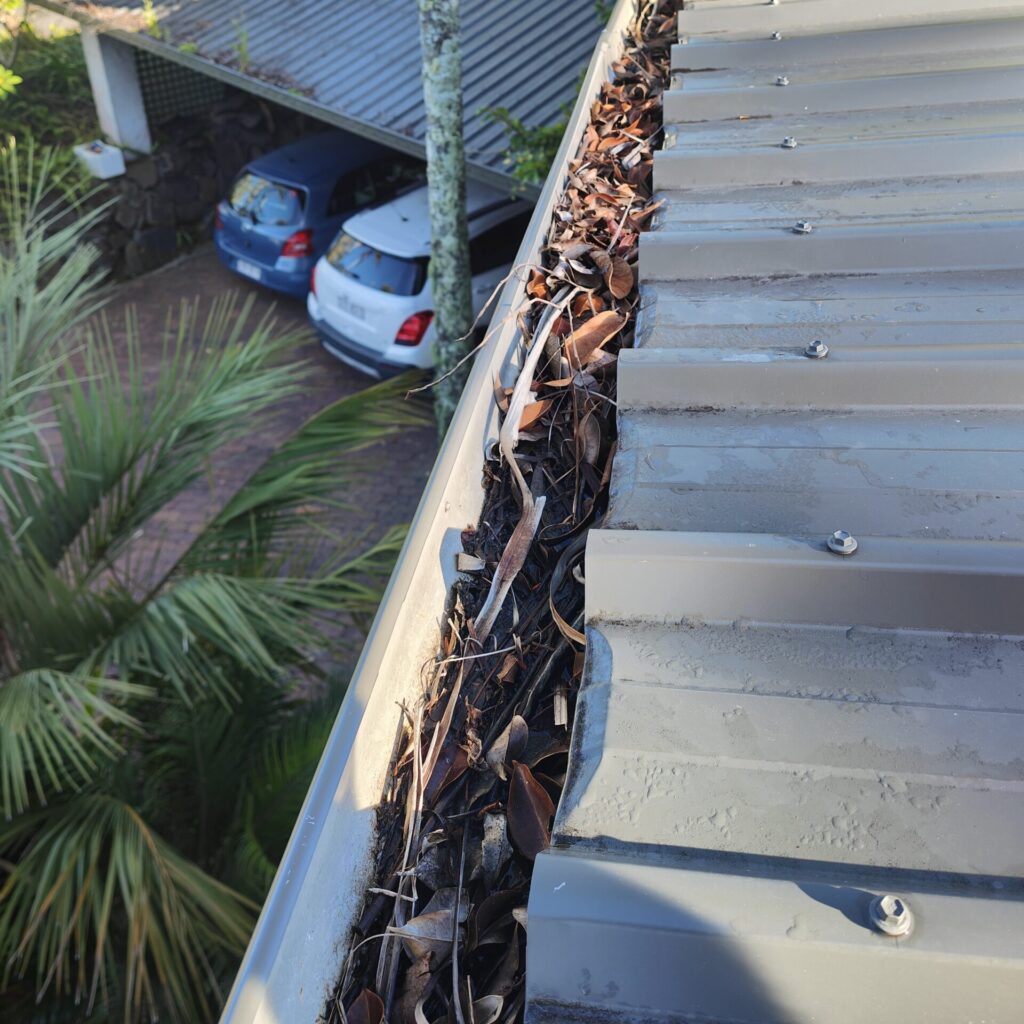 Sunshine coast mobile cleaning gutter cleaning