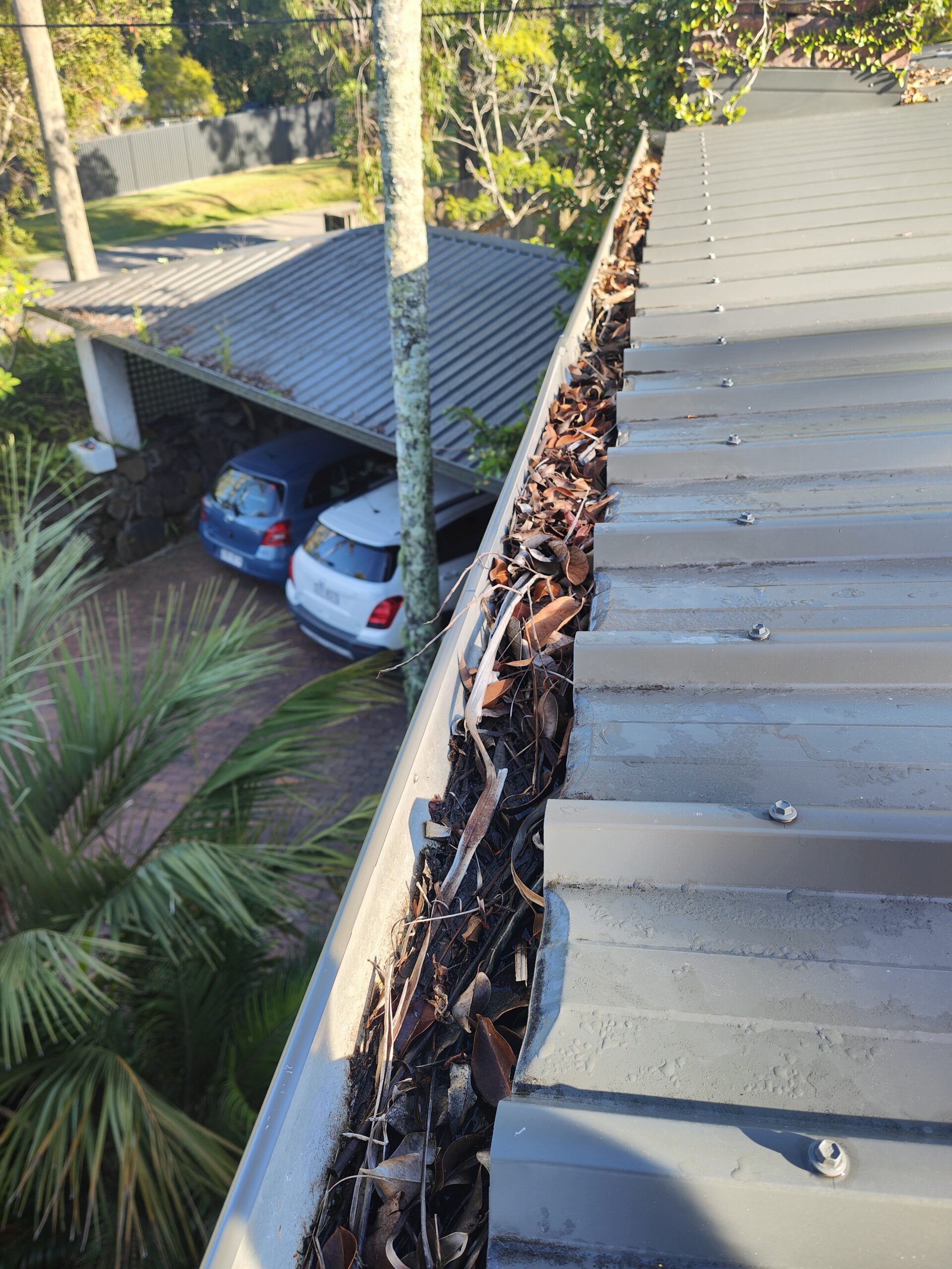 Sunshine coast mobile cleaning gutters